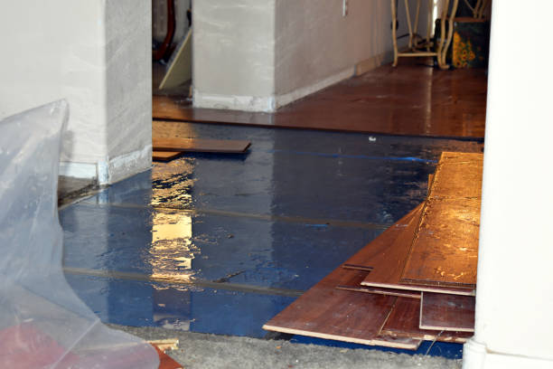 Professional Sewage Cleanup technician working in Fenwick, MI